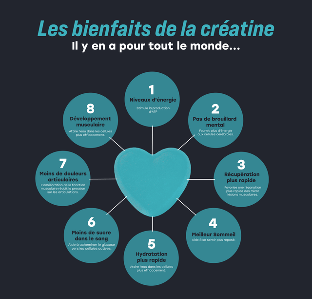 Les bienfaits de la créatine pour les débutants